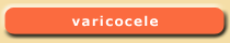Varicocele